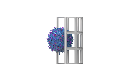 scIC Binding kinetics on cells - Dynamic Biosensors