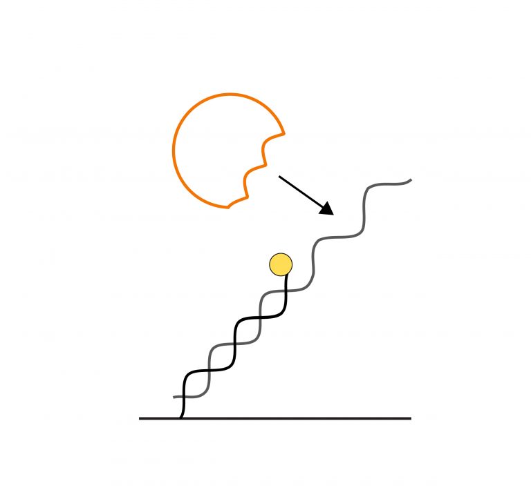 Low Complexity Region Low Complexity Region