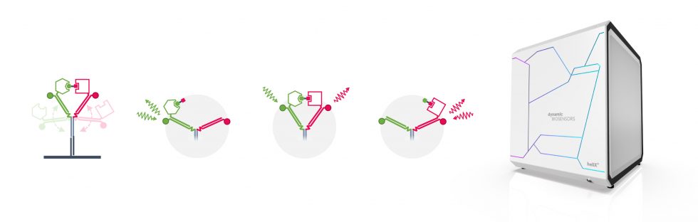 Protein-Protein Interactions – Dynamic Biosensors