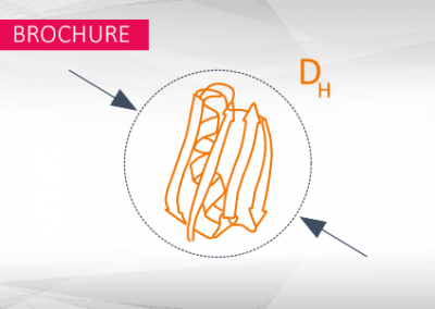 switchSENSE® Analysis of Protein Diameters and Conformational Changes